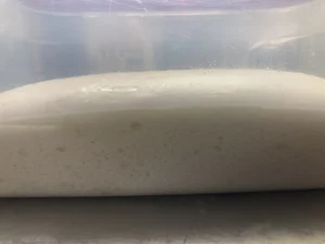 Pizza senza lievito: la ricetta naturale con acqua di governo della mozzarella di bufala