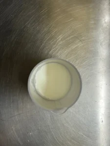 Nuvola di Pan brioche 10