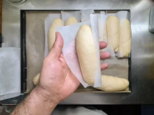 Panini allOlio 80
