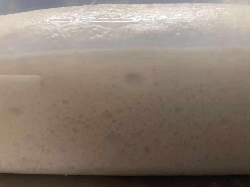 Pizza Bonci a Lunga Lievitazione (24h): Il Segreto dell’Impasto di Gabriele Bonci
